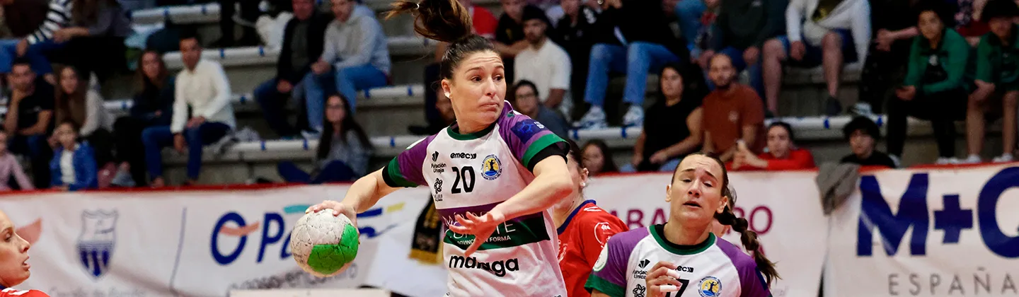 banner costa del sol malaga