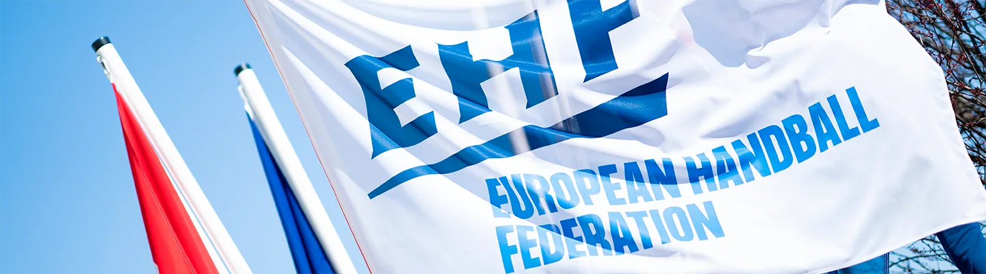 imgi 55 ehf flags